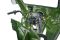 Электротрицикл Rutrike КАРГО 1500 60V1000W