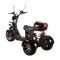 Электроскутер трехколесный CityCoco SkyBoard Trike BR60-3000 PRO FAST